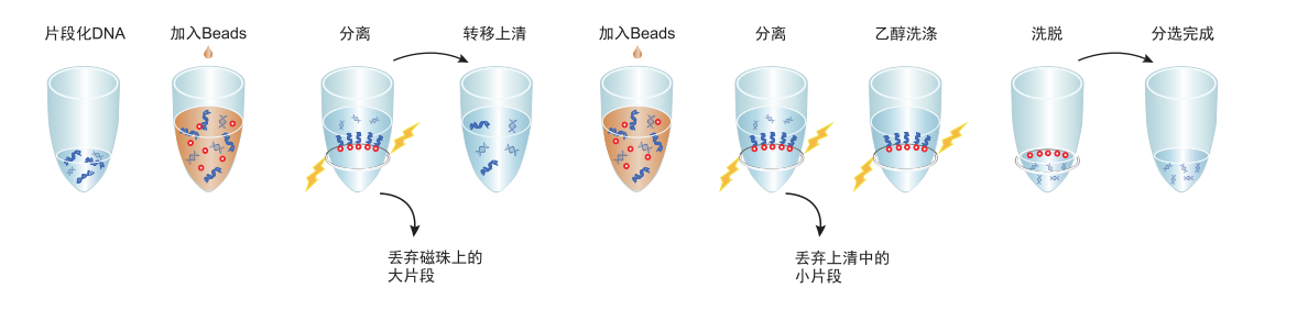 VAHTS DNA Clean Beads