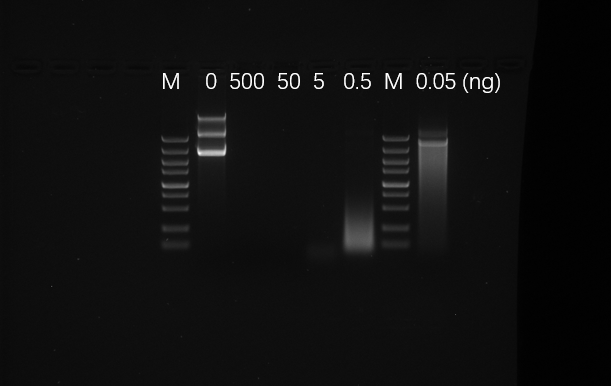 Hyperactive pA-MNase for CUT&amp;RUN