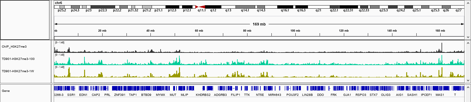 Hyperactive In-Situ ChIP Library Prep Kit for Illumina