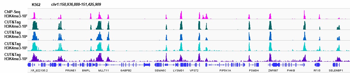 Hyperactive Universal CUT&amp;Tag Assay Kit for  Illumina