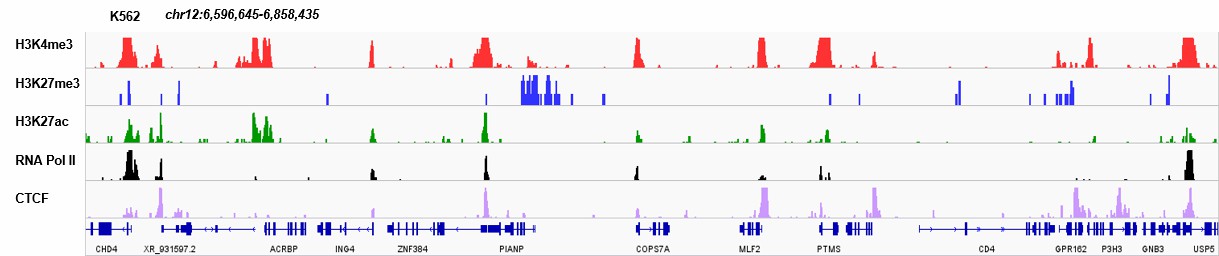 Hyperactive Universal CUT&amp;Tag Assay Kit for  Illumina