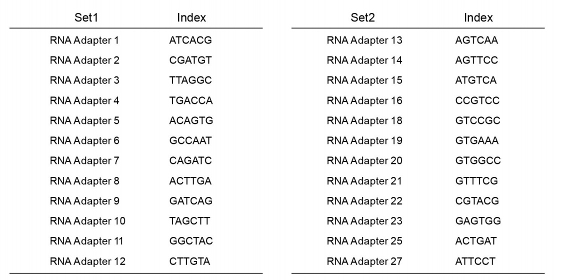 VAHTS RNA Adapters set1/set2 for Illumina