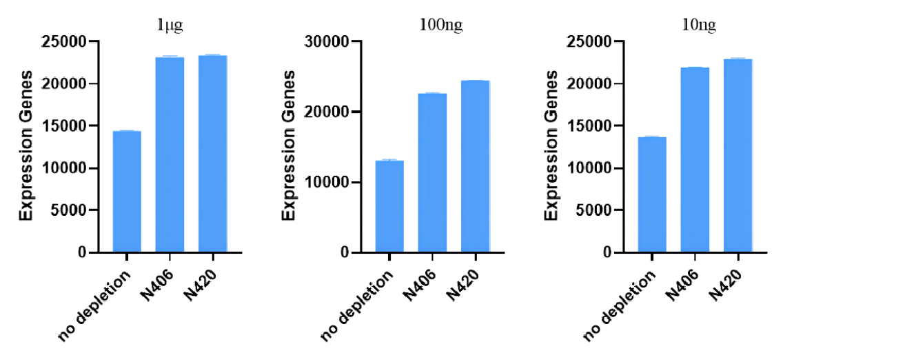 Ribo-MagOff rRNA Depletion Kit (Human/Mouse/Rat)