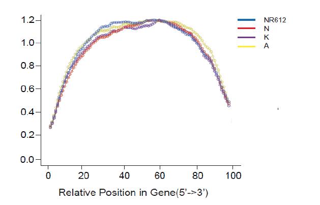 VAHTS Stranded mRNA-seq Library Prep Kit for Illumina V2