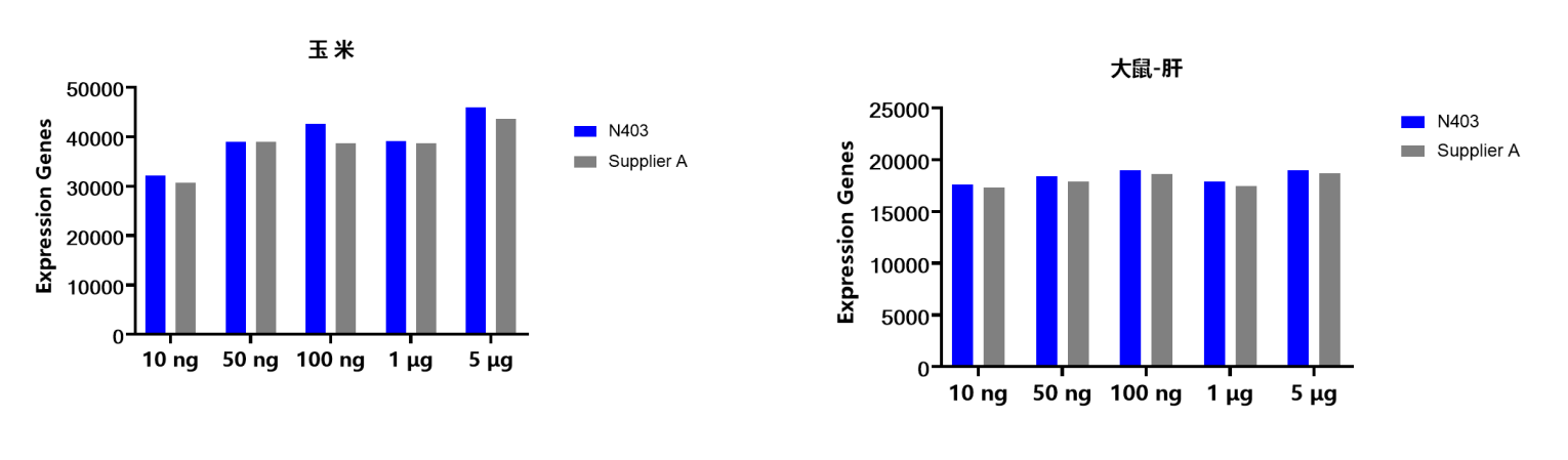 VAHTS mRNA Capture Beads 2.0