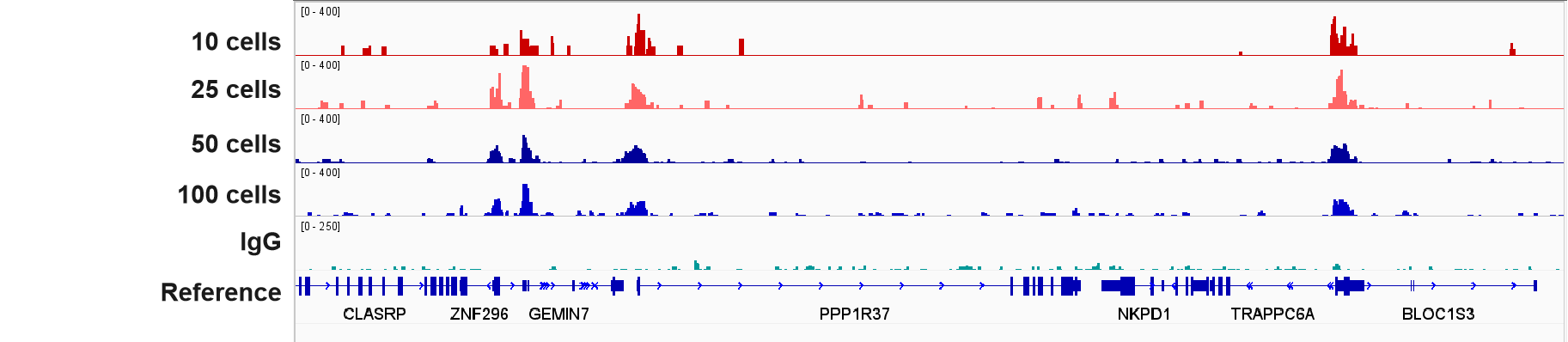 Hyperactive Universal CUT&amp;Tag Assay Kit for Illumina Pro