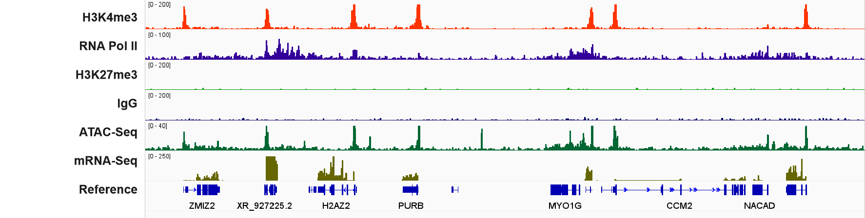 Hyperactive Universal CUT&amp;Tag Assay Kit for Illumina Pro