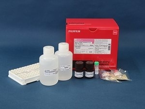 高灵敏度Mature BDNF ELISA试剂盒                              Mature BDNF ELISA Kit Wako, High Sensitive