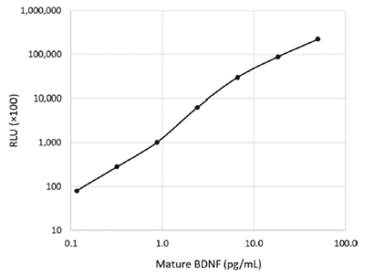 高灵敏度Mature BDNF ELISA试剂盒                              Mature BDNF ELISA Kit Wako, High Sensitive