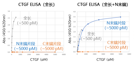 CTGF ELISA 试剂盒