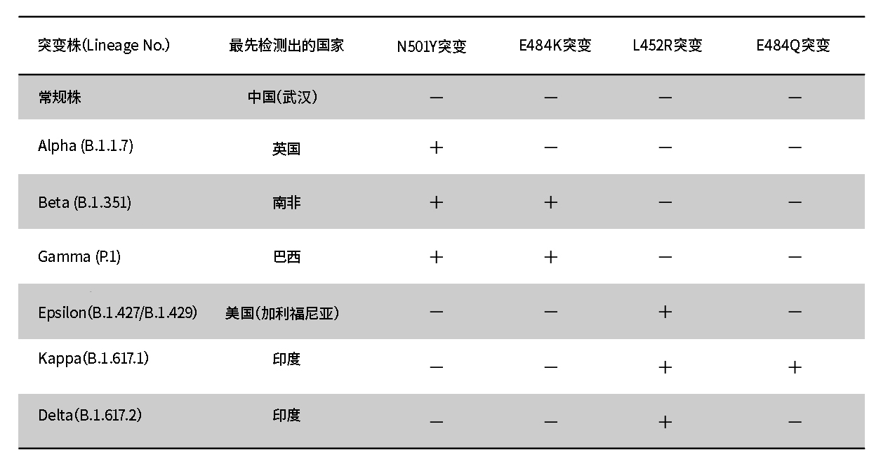 SARS-CoV-2 N501Y Mutation Detection Kit                              SARS-CoV-2 N501Y突变检测试剂盒