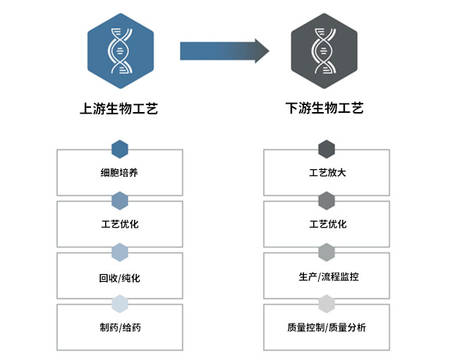 产品速递