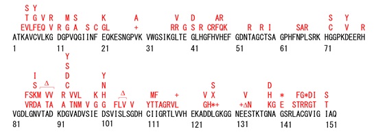 Anti-SOD1（ALS-related mutants）Cocktail，Human，Rat-Mono （MS785/MS27）                              全面检测ALS相关SOD1突变体的混合型抗体