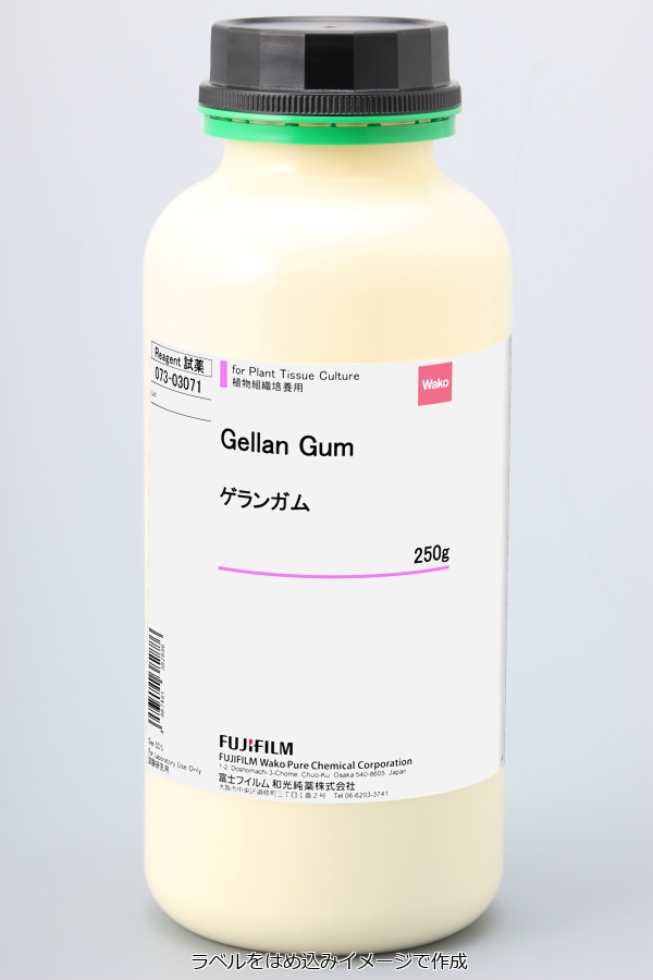 Gellan Gum                              结冷胶