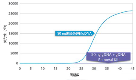 gDNA removal kit                              从RNA提取物中快速、完全去除gDNA