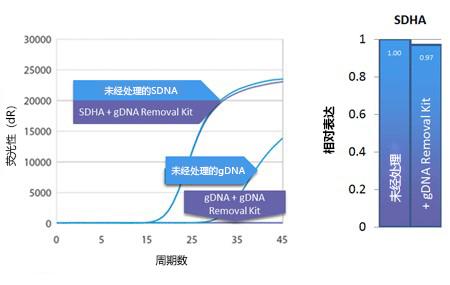 gDNA removal kit                              从RNA提取物中快速、完全去除gDNA