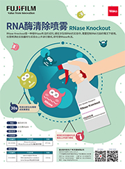 RNase Knockout RNA酶清除喷雾                              RNase Knockout