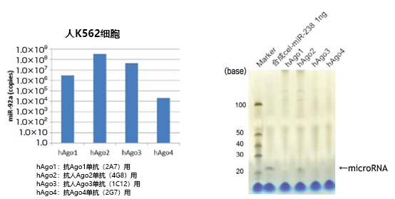 磁珠型microRNA分离试剂盒