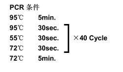 ISOGEN II RNA 抽提试剂                              ISOGEN II