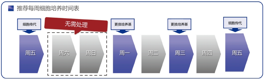 灵长类胚胎干细胞/诱导多能干细胞培养基 ReproFF2