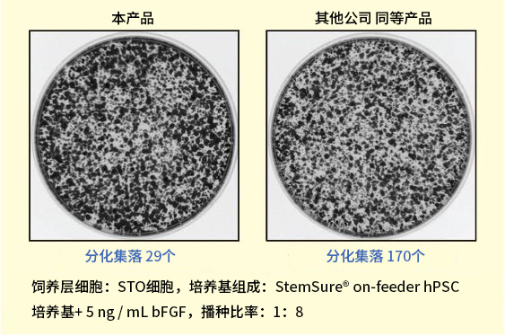 StemSure™ on-feeder hPSC培养基                              人ES/iPS细胞培养用液体培养基