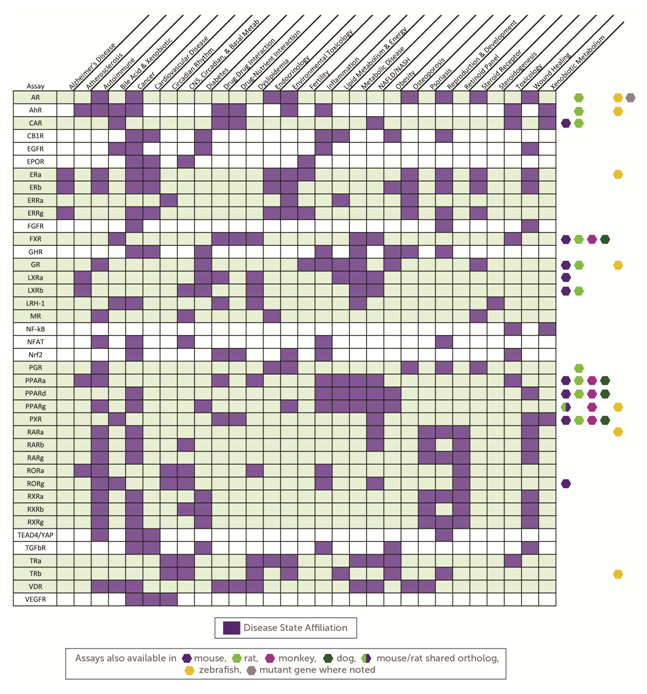 核受体谱分析＆核受体面板                              Nuclear Receptor Profiling & Panels