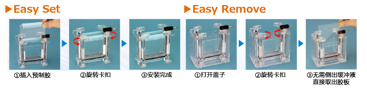 EasySeparator                              Phos-tag™ 预制胶的配套电泳槽