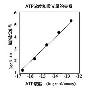 ATP 荧光检测仪 C-110                              Lumitester C-110