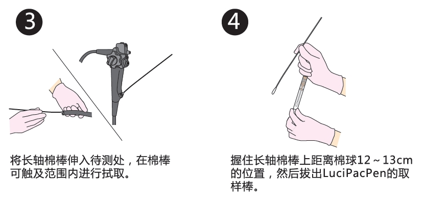 PD-30配套试剂——拭取检测用长轴棉棒                              LuciSwab