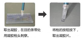 Long ssDNA Preparation Kit for 10kb                              可制备长达10 kb的单链DNA