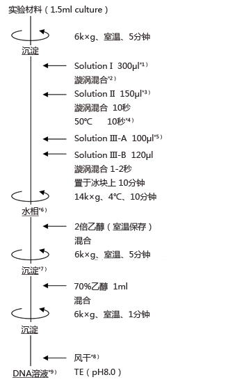ISOPLANT II                              DNA快速提取试剂（植物/酵母/细菌）
