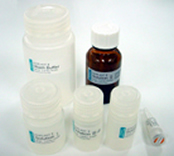 ISOPLANT DNA快速提取试剂(植物/酶/细菌)