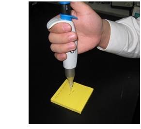 Long ssDNA Preparation Kit for 10kb                              可制备长达10 kb的单链DNA