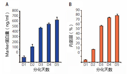 内胚层监测试剂盒 ES/iPS Differentiation Monitoring Kit–Human Endoderm