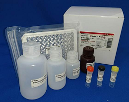 人ES/iPS 细胞检测试剂盒 Human ES/iPS Cell Monitoring Kit
