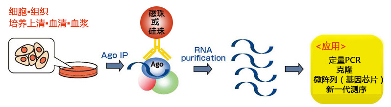 MagCapture™ microRNA分离试剂盒系列 MagCapture™ microRNA Isolation Kit 系列