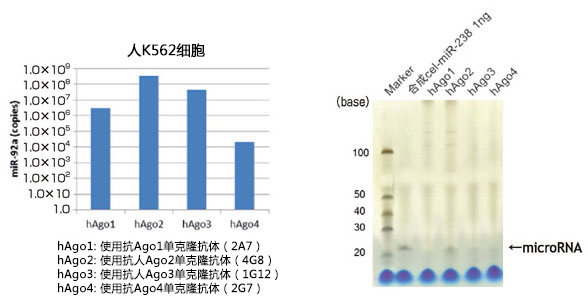 MagCapture™ microRNA分离试剂盒系列 MagCapture™ microRNA Isolation Kit 系列