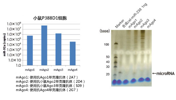 MagCapture™ microRNA分离试剂盒系列 MagCapture™ microRNA Isolation Kit 系列