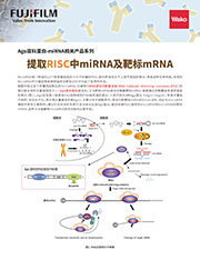 MagCapture™ microRNA分离试剂盒系列 MagCapture™ microRNA Isolation Kit 系列