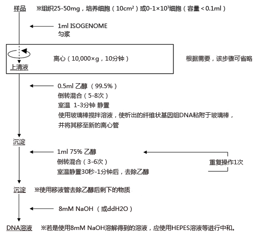 ISOGENOME DNA提取试剂