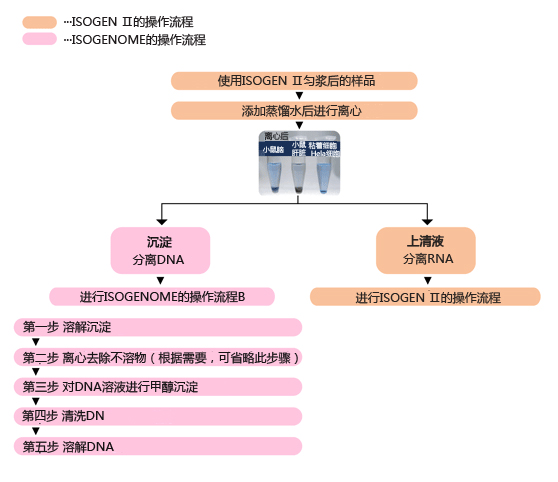 ISOGENOME DNA提取试剂