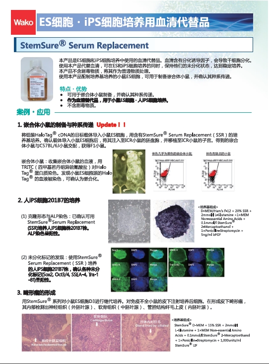 ES细胞・iPS细胞培养用血清代替品 StemSure® Serum Replacement