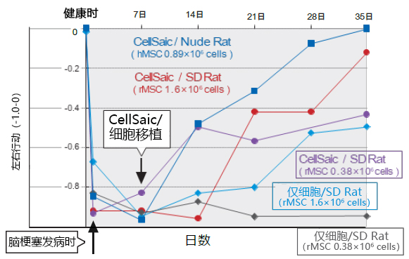 Cellnest μ-piece 由人I型胶原蛋白重组多肽形成的新型细胞支架