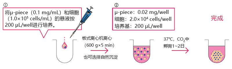 Cellnest μ-piece 由人I型胶原蛋白重组多肽形成的新型细胞支架