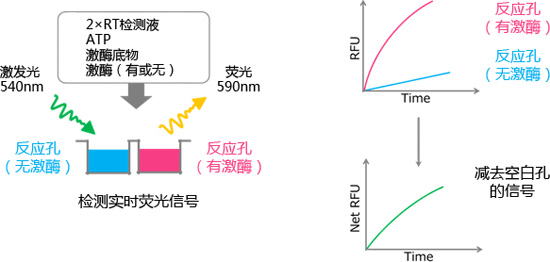 Fluorospark® 激酶/ADP 多重-检测试剂盒 Fluorospark® Kinase/ADP Multi-Assay Kit