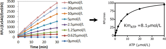 Fluorospark® 激酶/ADP 多重-检测试剂盒 Fluorospark® Kinase/ADP Multi-Assay Kit