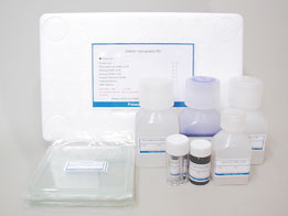 明胶酶谱试剂盒（COSMOBIO） Gelatin Zymography Kit(COSMOBIO)