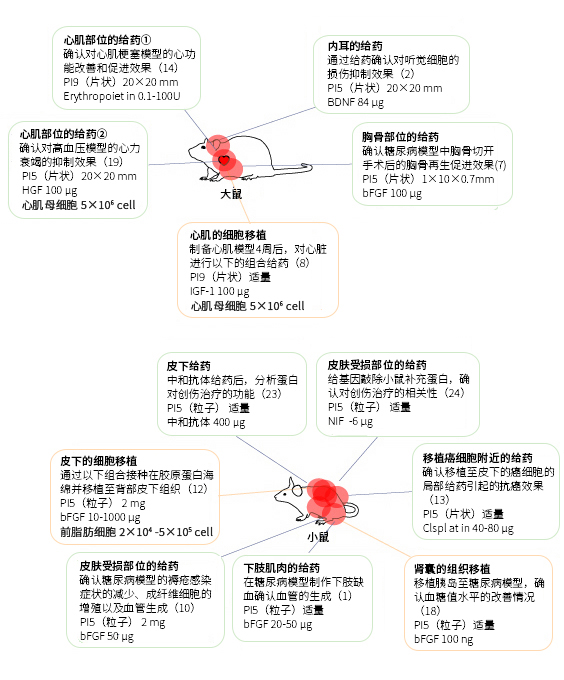 MedGel® Ⅱ系列