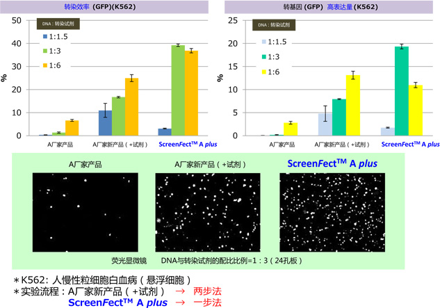 DNA & siRNA 转染试剂                              ScreenFect™ A plus