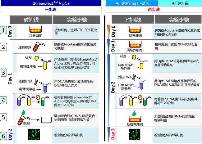 DNA & siRNA 转染试剂                              ScreenFect™ A plus